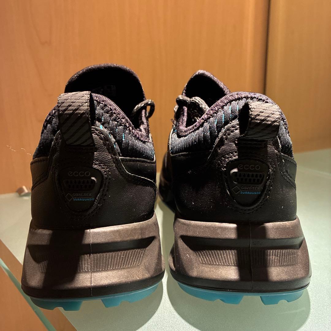 【エコー】ECCO MEN'S GOLF BIOM C4 (26㎝) レザー