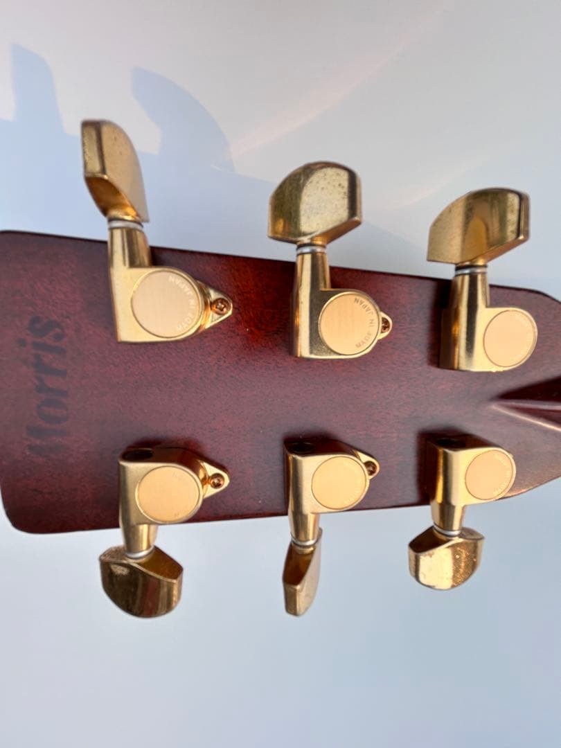 Morris TF-50アコースティックギター