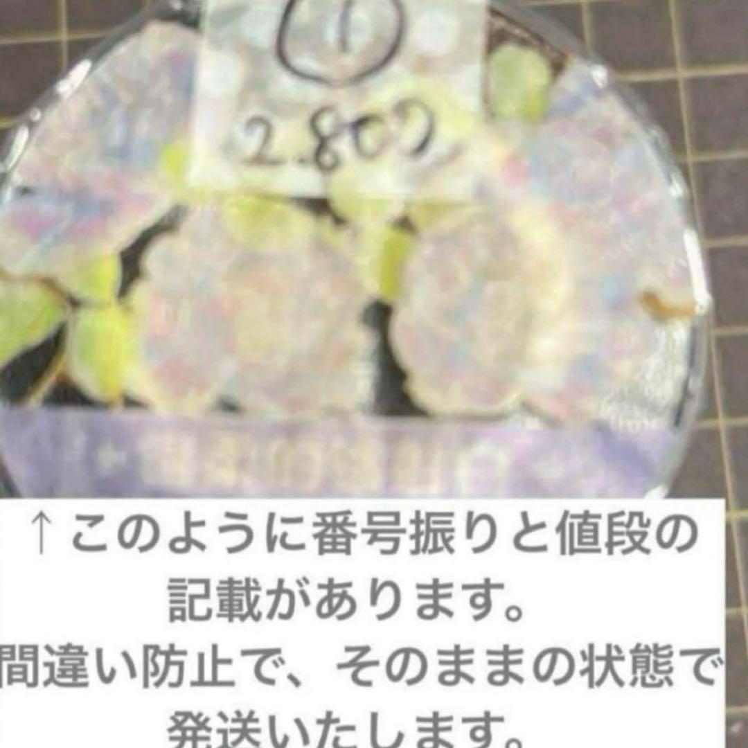 2025秋セール