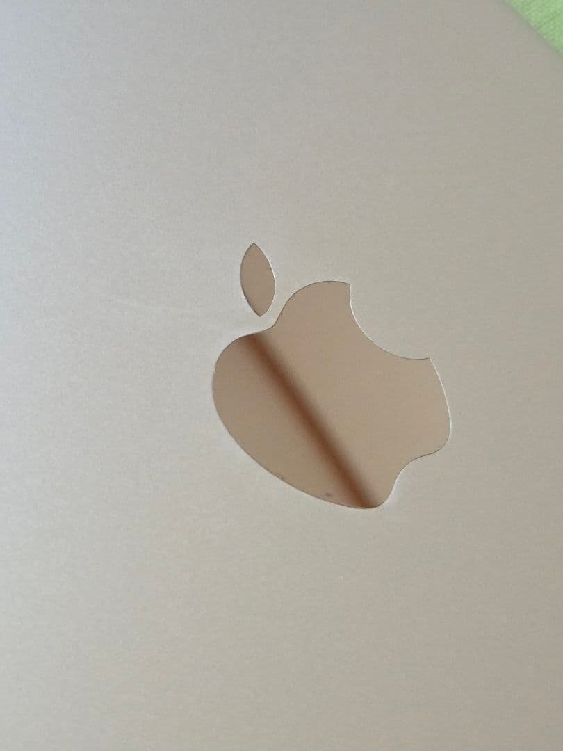 か*で様 iPadmini5 64GB