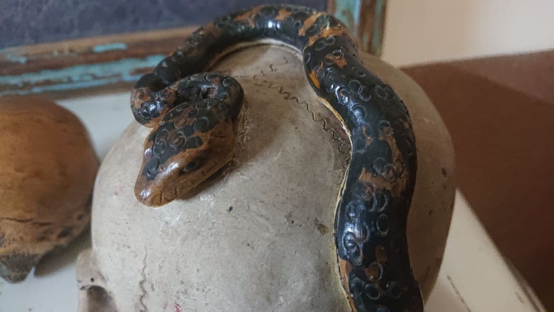 野晒し 髑髏 大