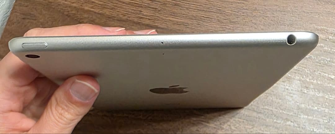 iPad mini(第５世代) Wi-Fi256GBシルバー　　 非純正ペン付き