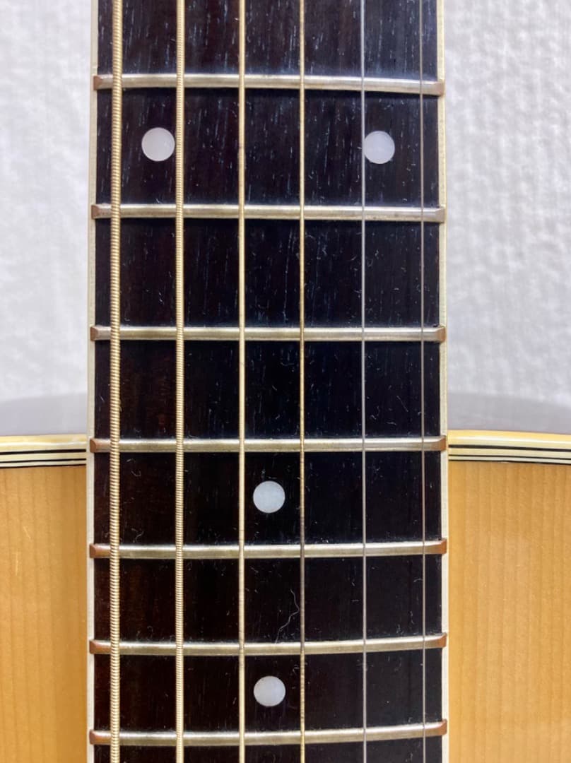 Morris モーリス W-20 アコースティックギター