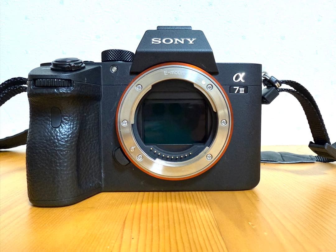 SONY α7Ⅲ 必要なモノのみ選択可　本体、レンズ等