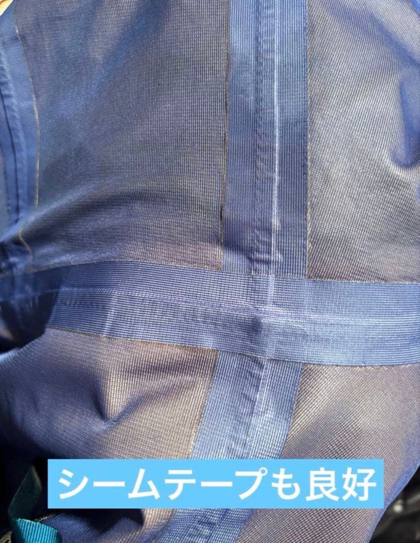 SIMMS GORE-TEX Dry Coat L グリーン