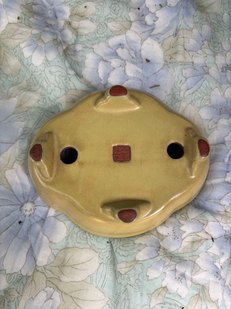 盆栽鉢　壱興