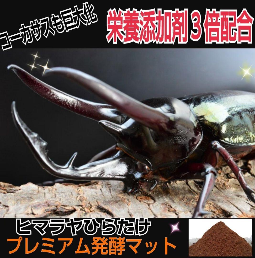 大量飼育に！たっぷり90リットル　極上☆ヒマラヤひらたけプレミアム3次発酵マット
