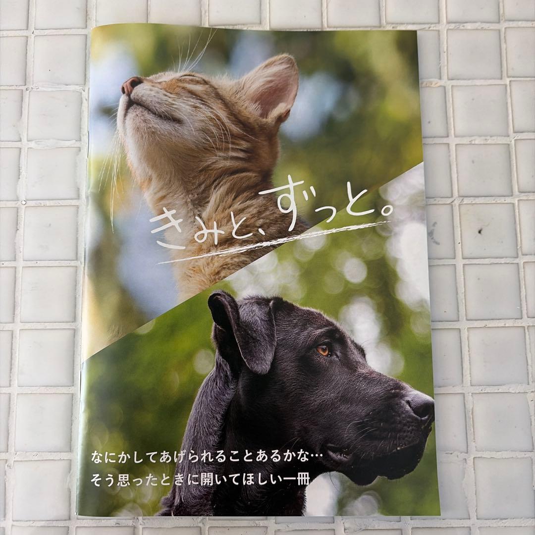 犬猫サプリコルディM 日本産冬虫夏草
