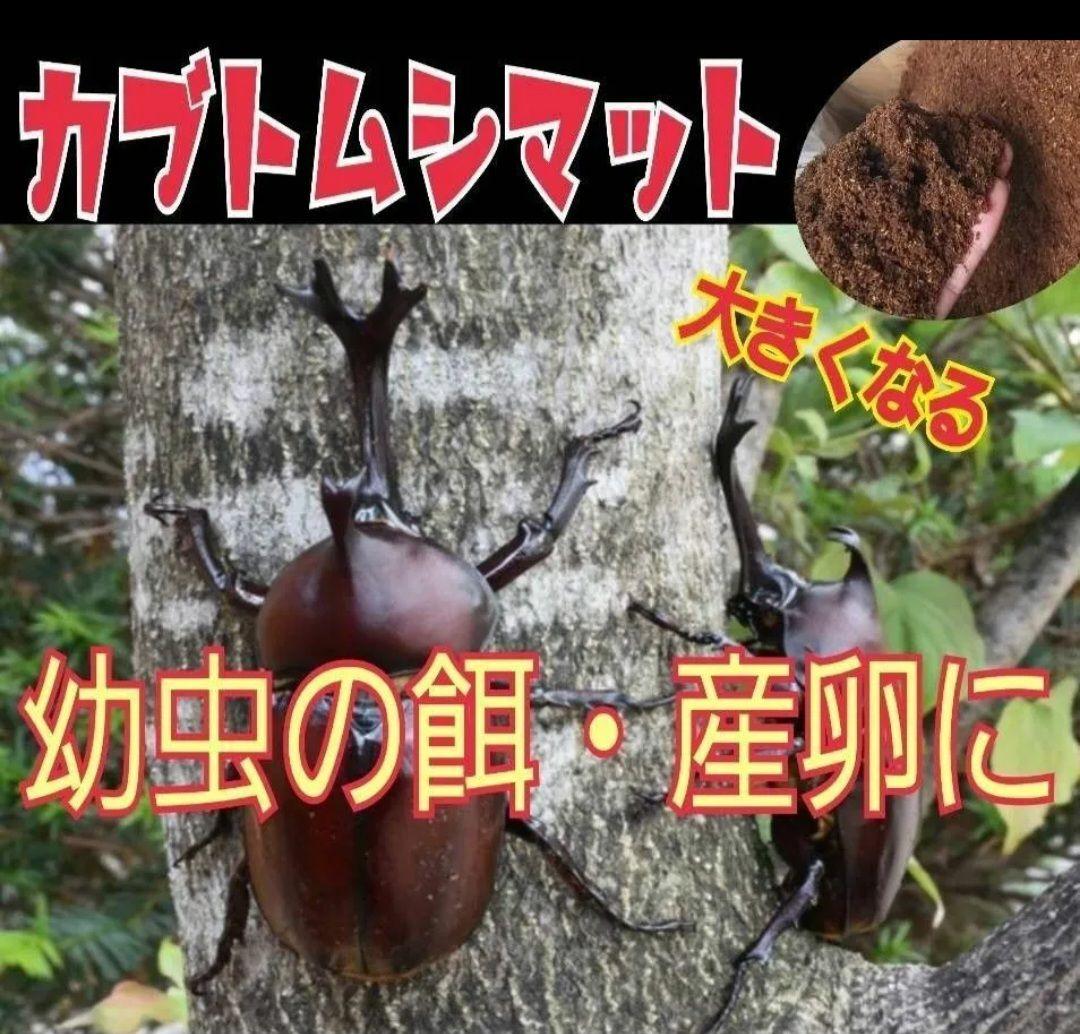 たっぷり60リットル　カブトムシ幼虫が大きくなります！発酵マット　雑虫がわかない