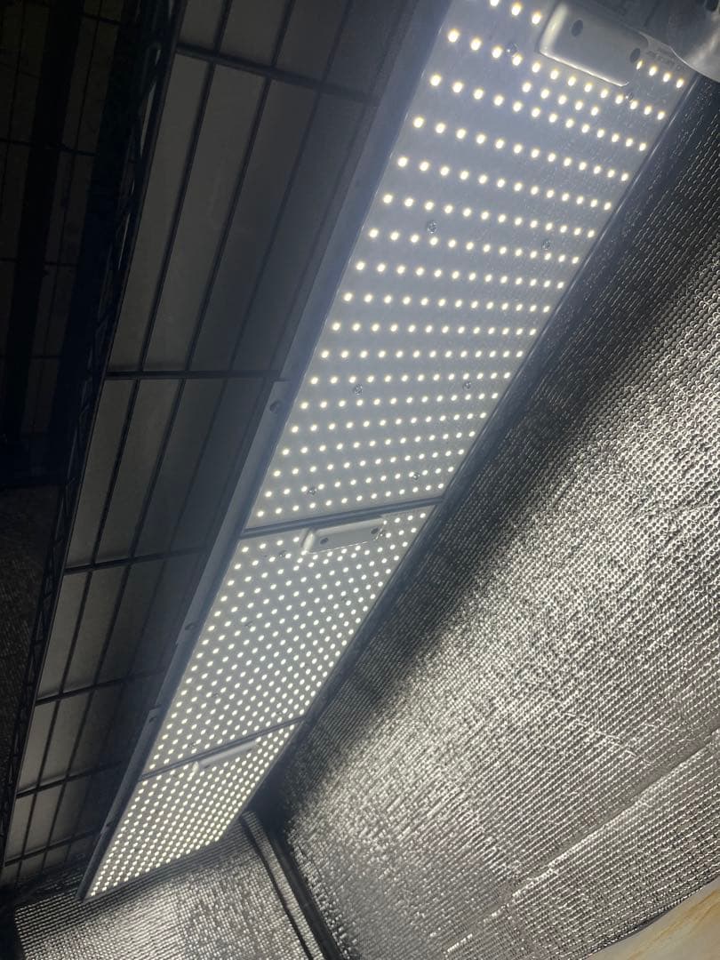 Helios Green LED PRO 3枚　HGP-303