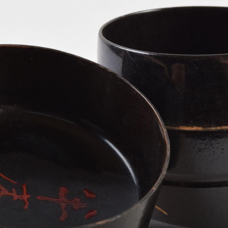 茶道具　金森春次作　花草蒔絵　長棗　共箱　V　9039