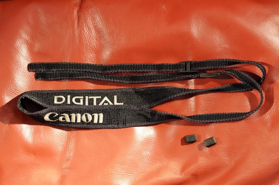 【防湿庫保管品】CANON EOSD60　元箱付き 【動作品】主観で良品