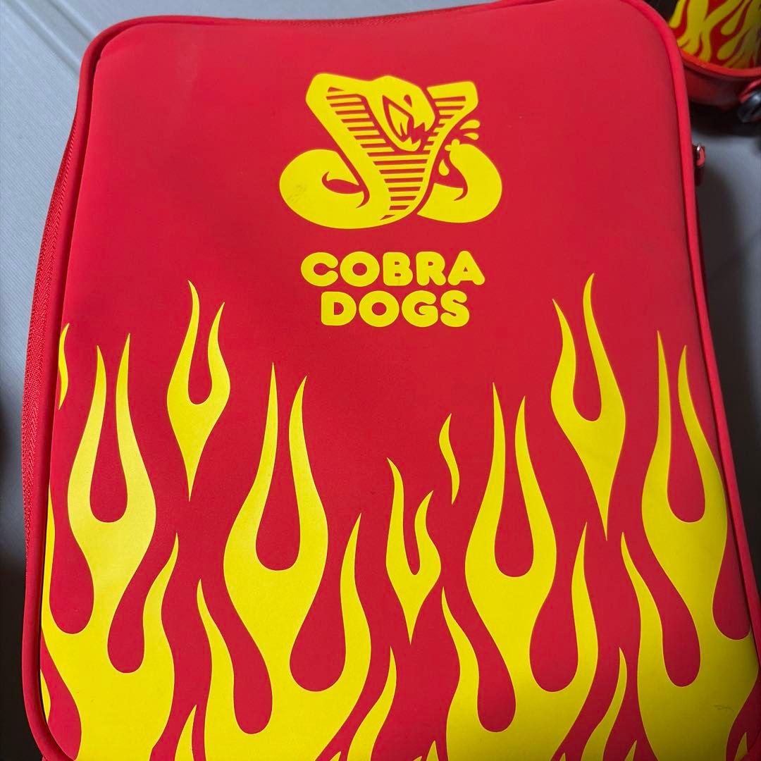 COBRA DOGスノーボード ビンディング ユニオンSTRATA