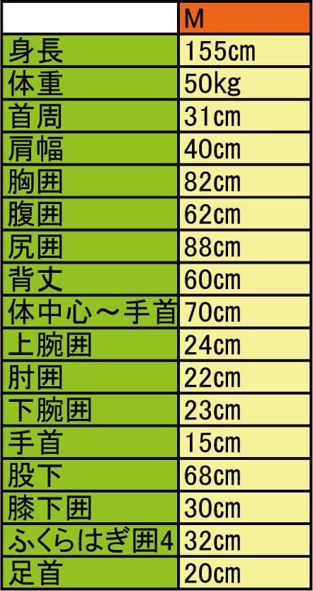 国内生産/ALL3mロングジョン&タッパー /クラッシックスタイル/レディースM