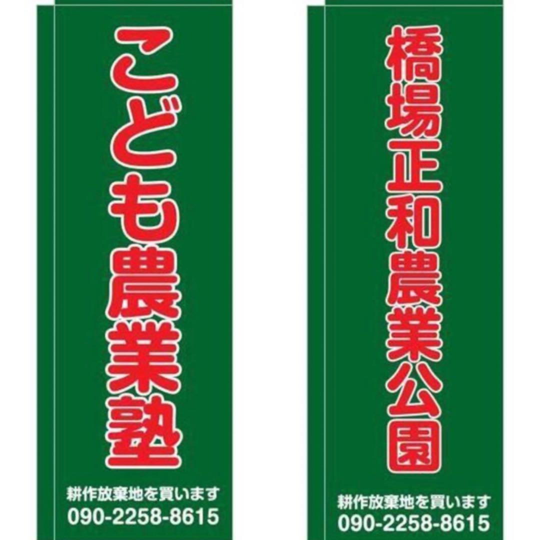 イタリア雑貨【デルータ　マヨルカ焼き　蓋付きセンターピース】
