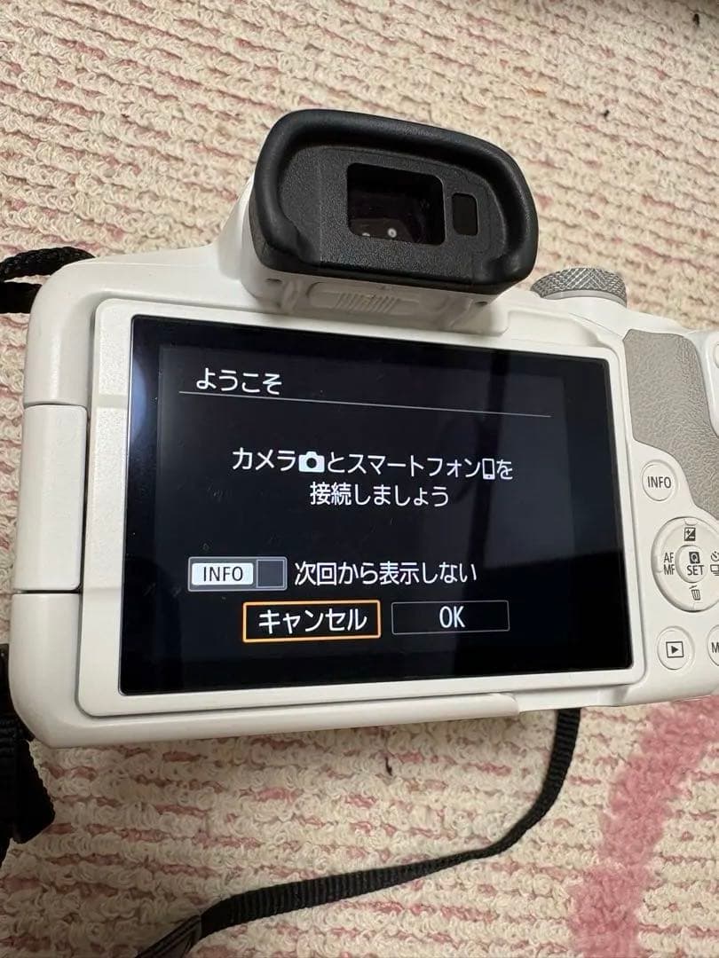 Canon EOS R50 ホワイト 2セットレンズ付きSDカード付き