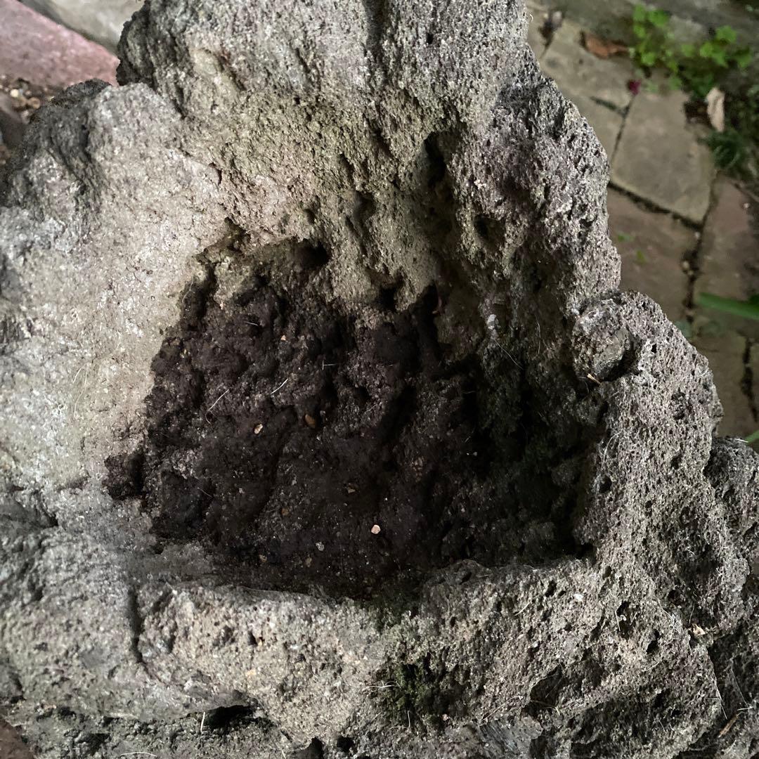 植木鉢　庭石　ロックガーデン　岩　溶岩石　オブジェ