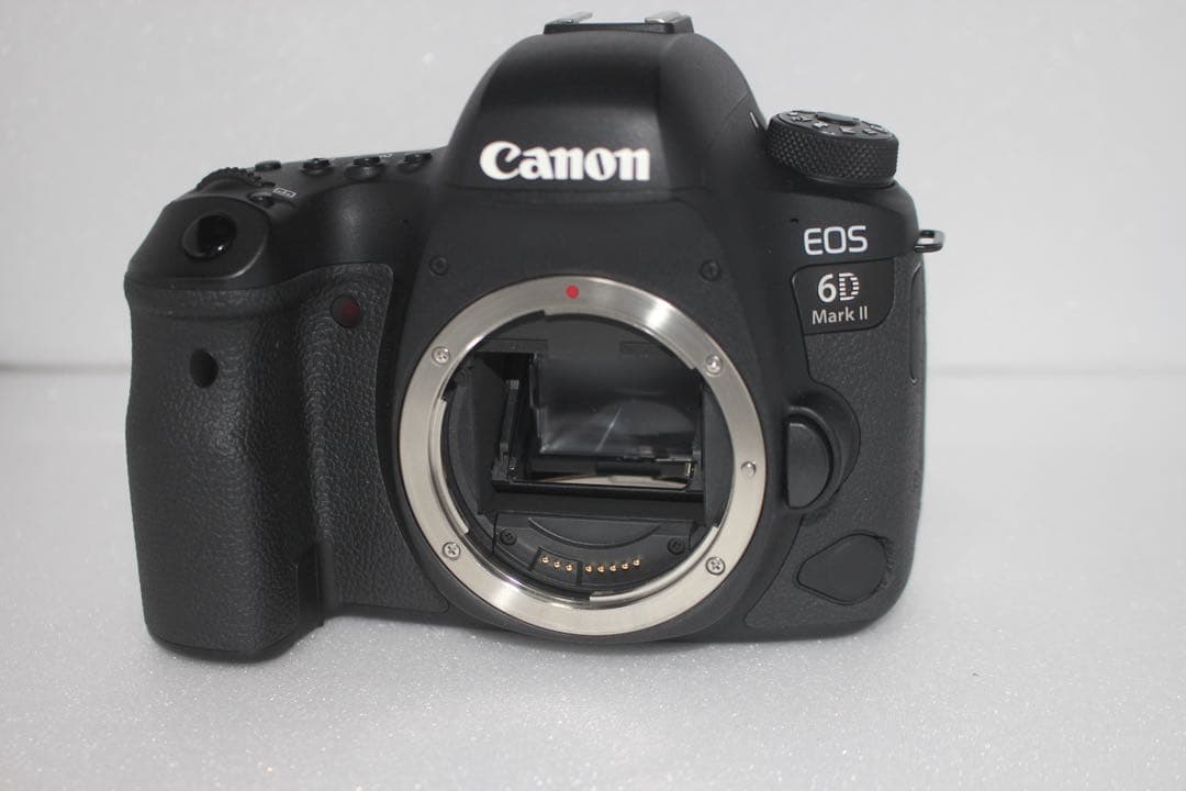 美品　Canon EOS 6D Mark II標準&望遠ダブルレンズセット