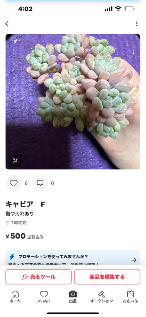 マキマキ様