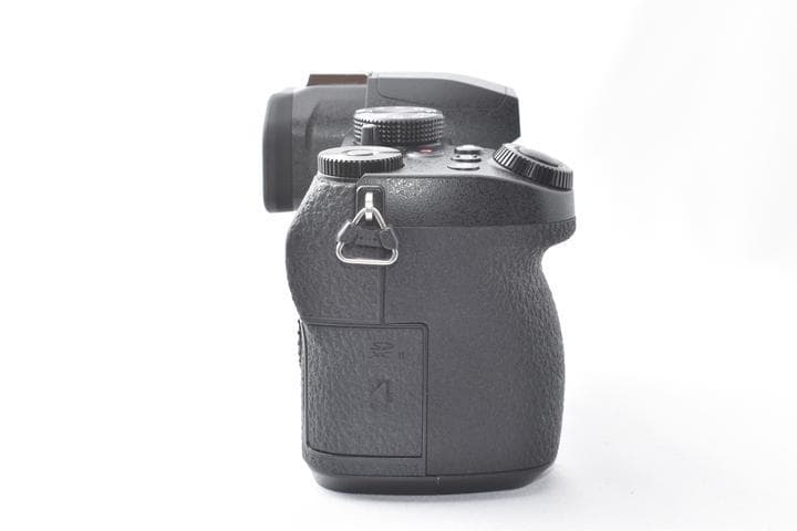 【美品】Panasonic LUMIX DC-G99 ボディ