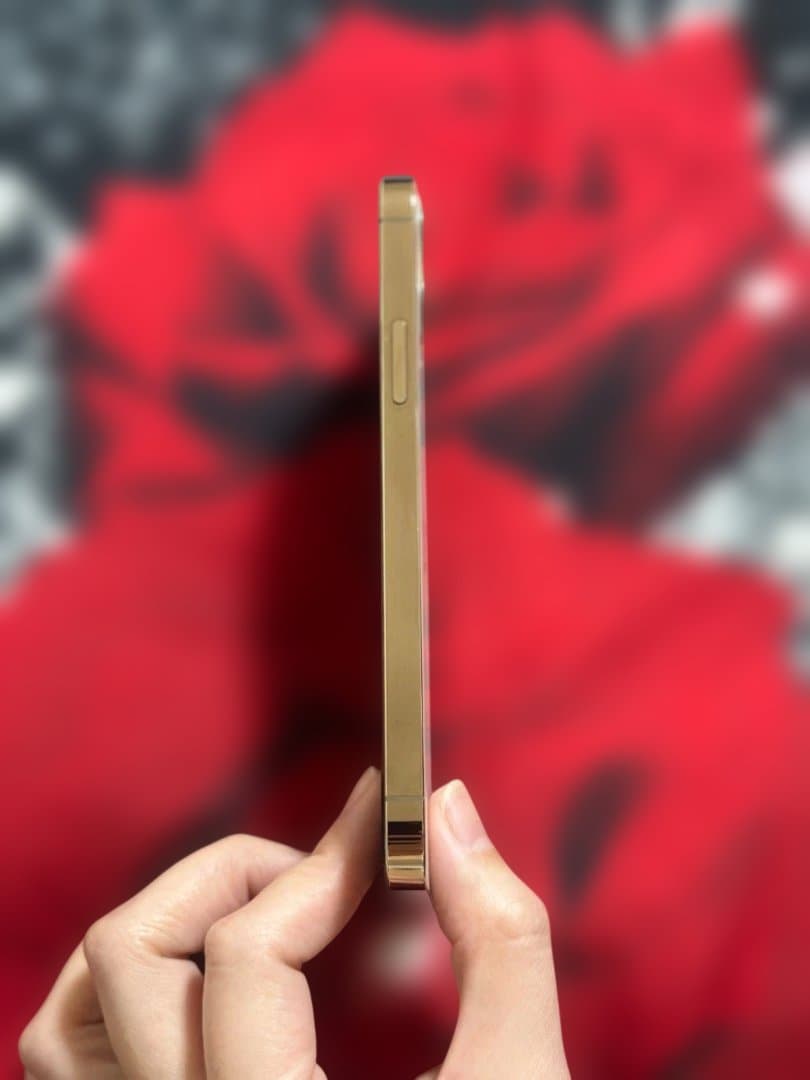 Apple iPhone 12 Pro 256gb ゴールド Sim プリー