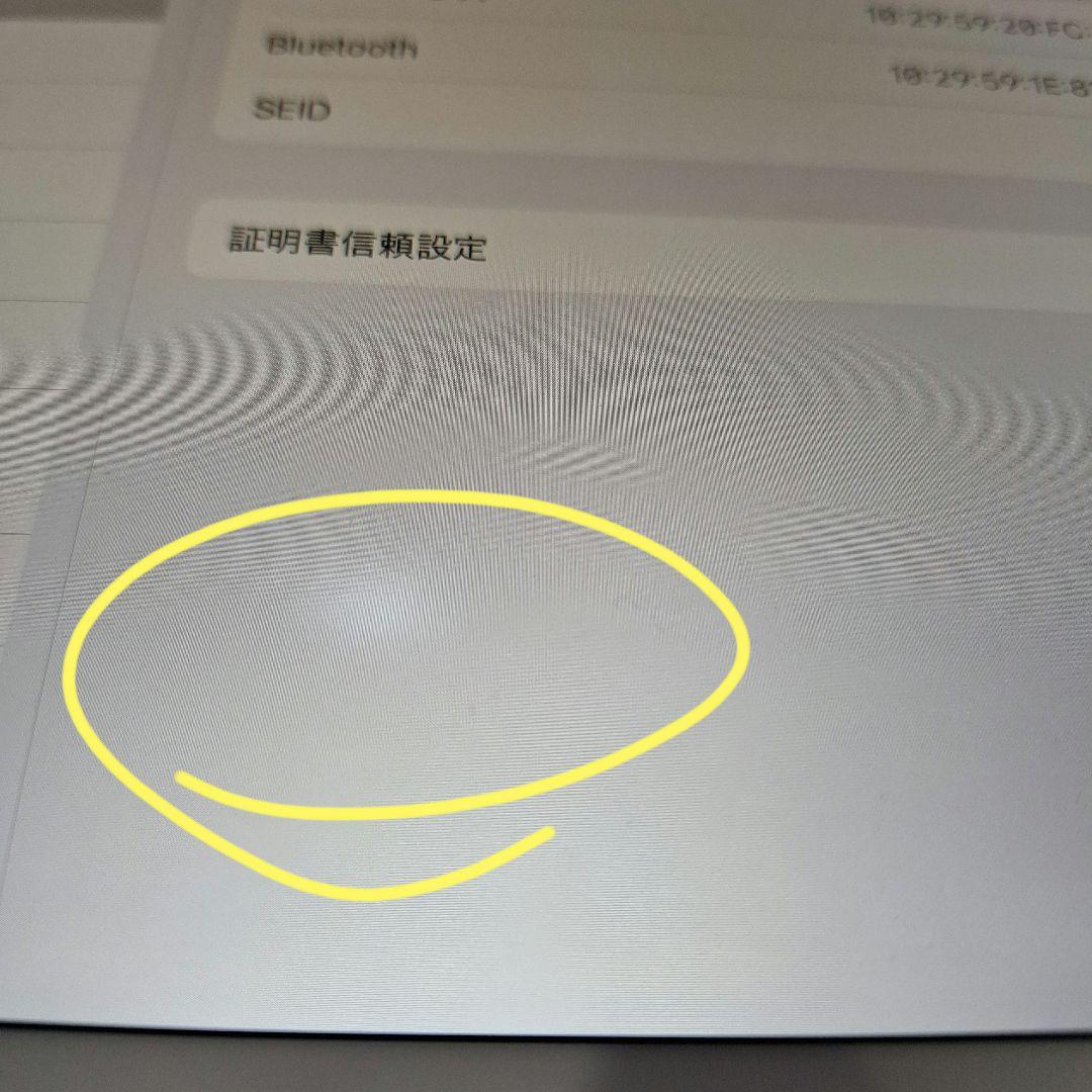 Apple iPad Air (第3世代) 256GB