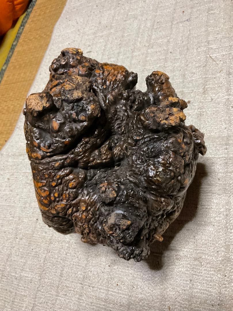 パイプ用の原木（プライヤー用）大きさ、25センチ四方。【床の間のインテリアどぞ】