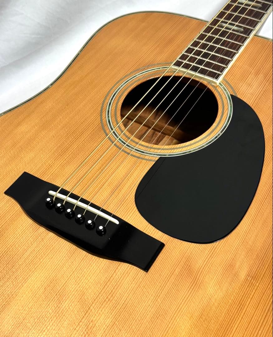 【新品弦張替済】MORRIS アコースティックギター W-60