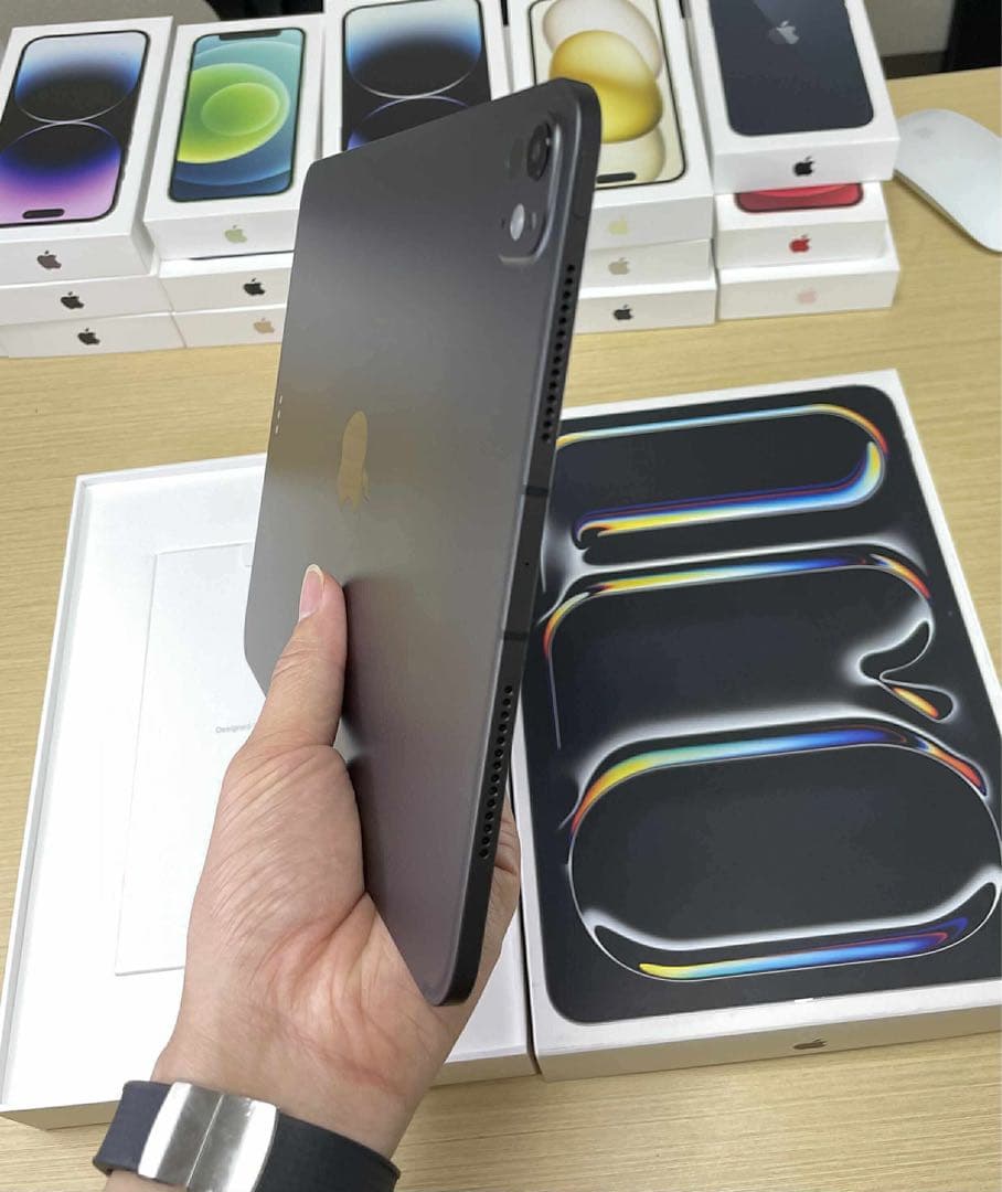 【美品】iPad Pro 11 M4 WiFi+Cellular 512GB