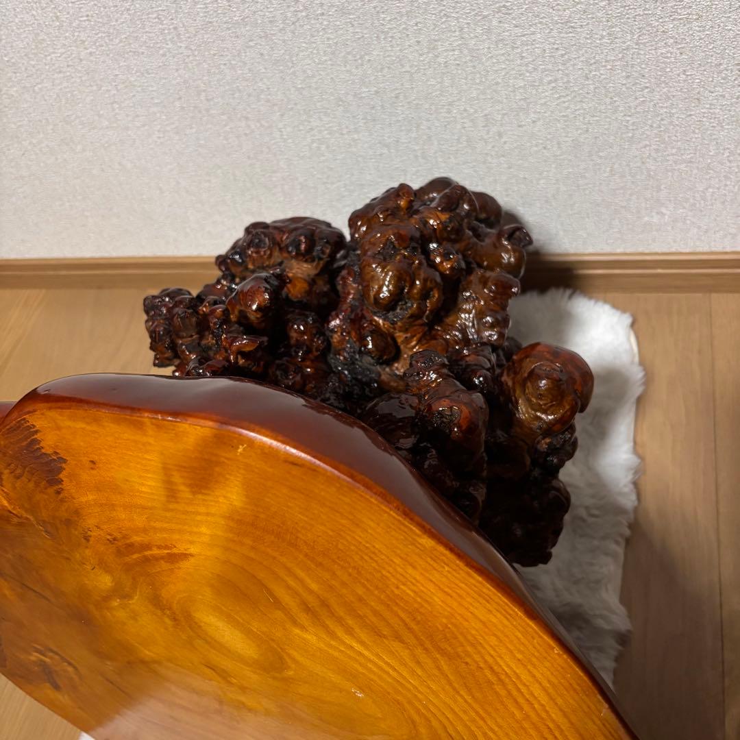 木の瘤　オブジェ　置物　天然木　自然木　木瘤　レア物　異形　インテリア　和風