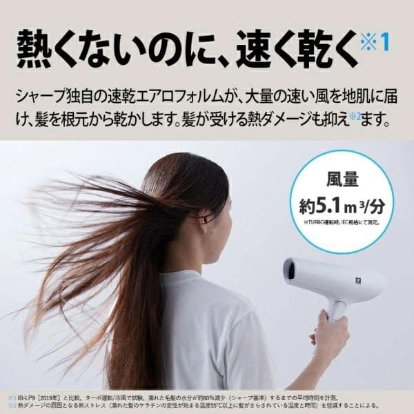 新品未使用SHARP IBP602 プラズマクラスタードライヤー