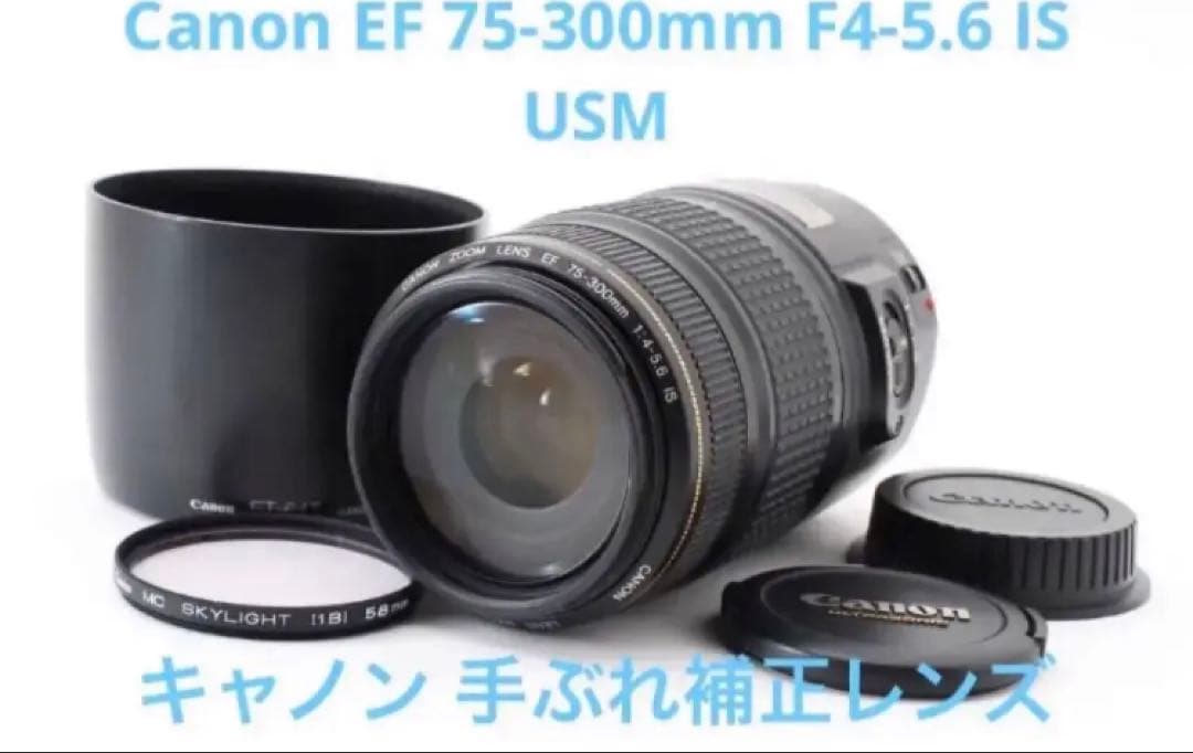 一眼レフカメラ　Canon EF 75-300mm F4-5.6 IS USM
