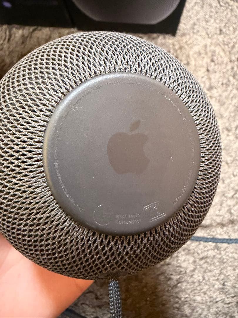 Apple Pod mini スペースグレー 2台セット