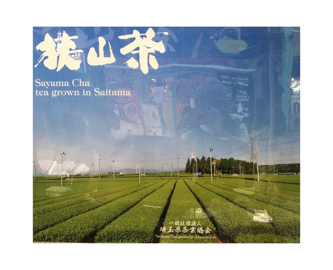 【専用】茶畑直販☆煎茶+上煎茶+上ほうじ茶☆令7年産☆一番茶☆深蒸し緑茶日本茶