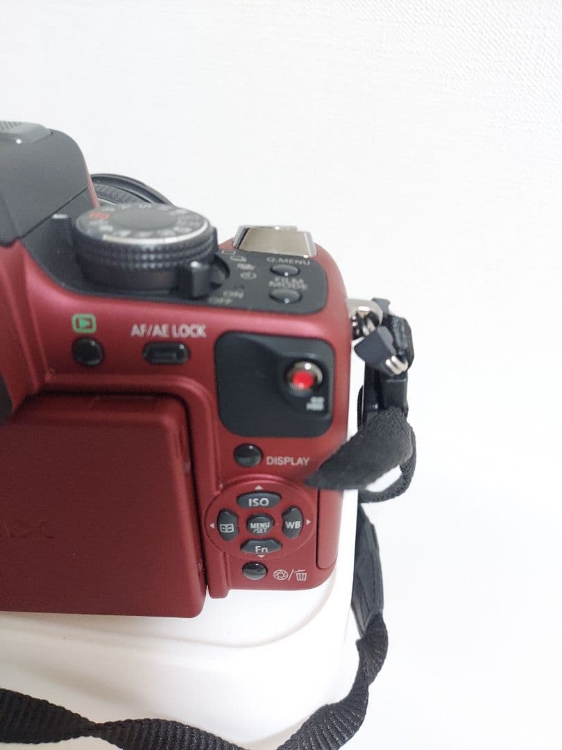 極美品　Panasonic LUMIX DMC-GH1 動作確認済み