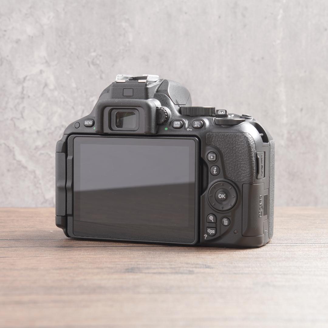 ✨ショット数1763回で超美品✨Wi-Fi✨Nikon D5500　900-1