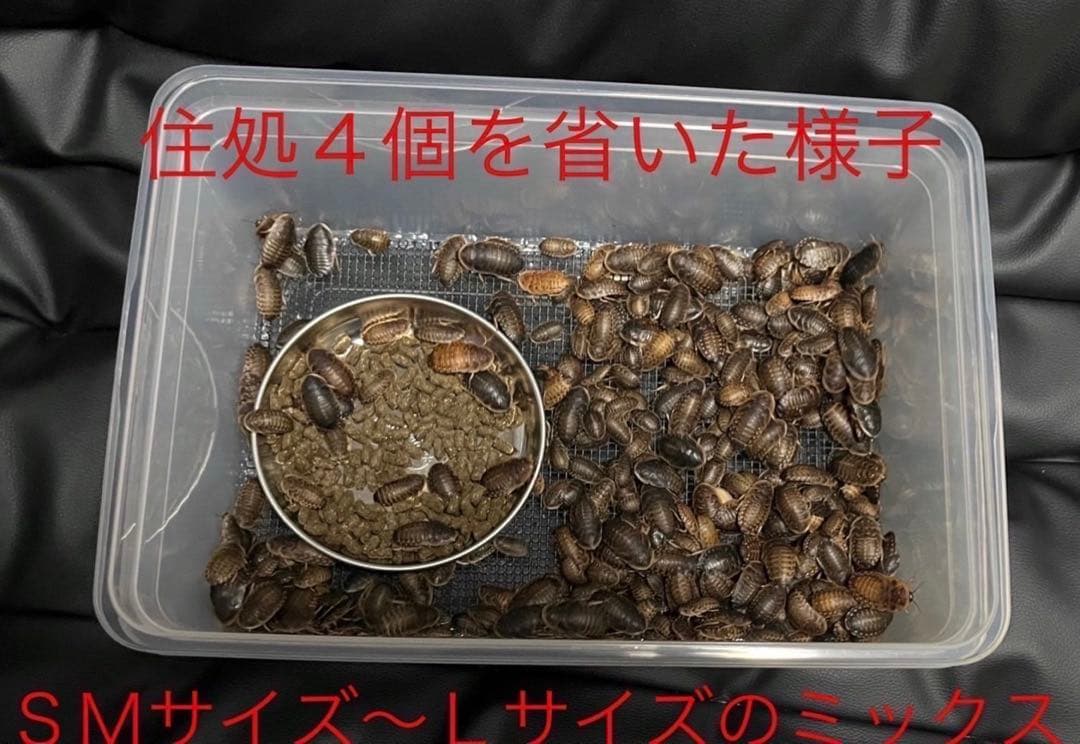 2mm、1.3mm 1個ずつ