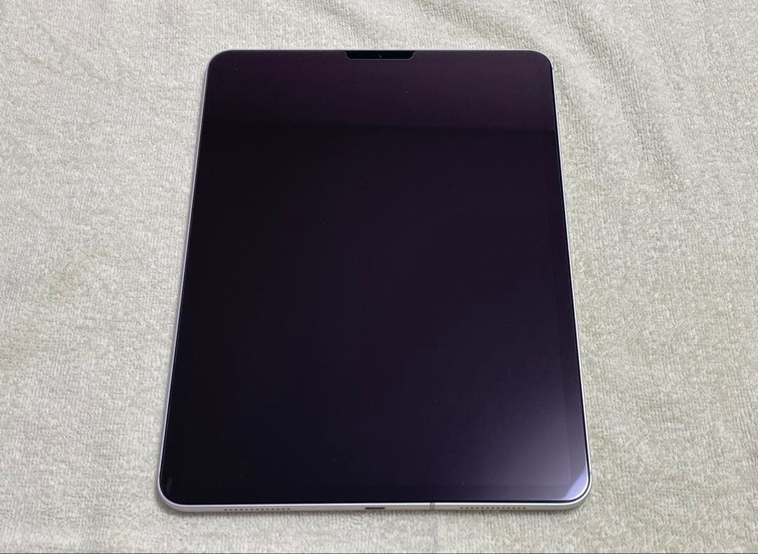 iPad Pro 11インチ(第1世代) 256GB セルラーモデル