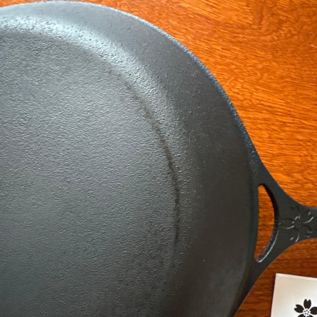 岩鉄鉄器 ダクタイルパン 26cm ガス・IH対応 日本製