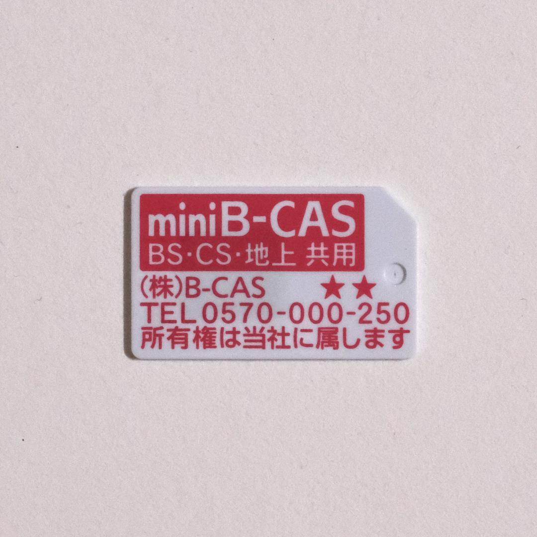 【ほぼ新品】プライベート・ビエラ UN-10L11