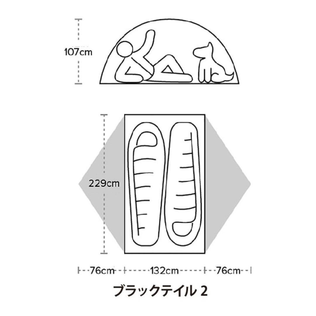 Big Agnes テント