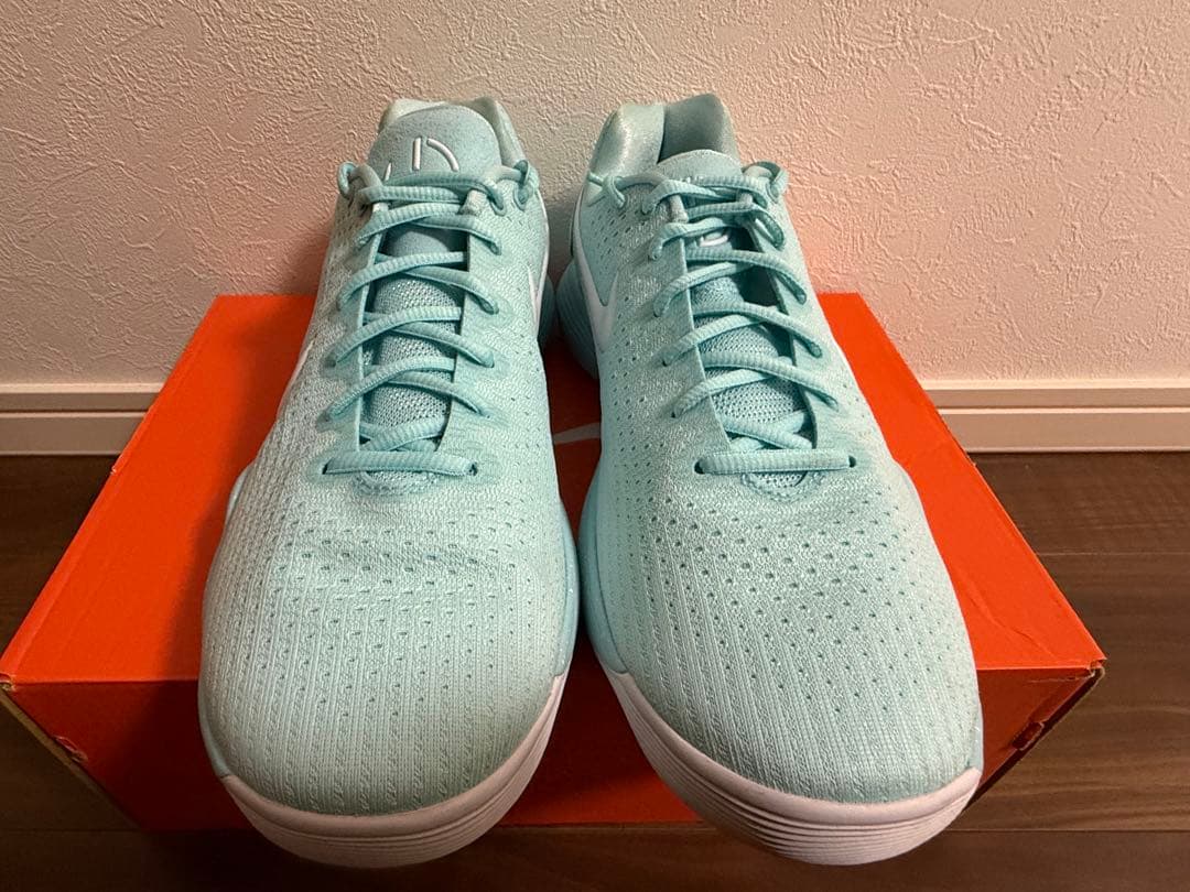 シューズ(男性用) NIKE HYPERDUNK 2017 LOW 28.5cm