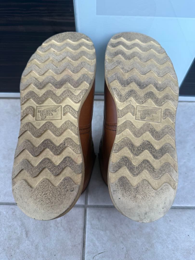 REDWING 875 US7.5D 羽刻印　アイリッシュセッター