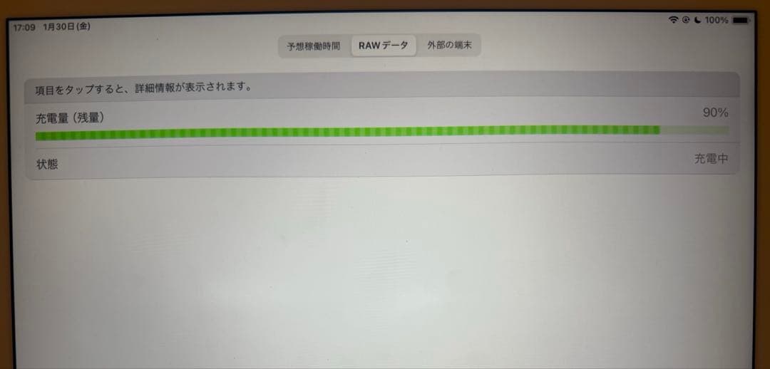 iPad Pro 12.9インチ (第2世代) 256GB