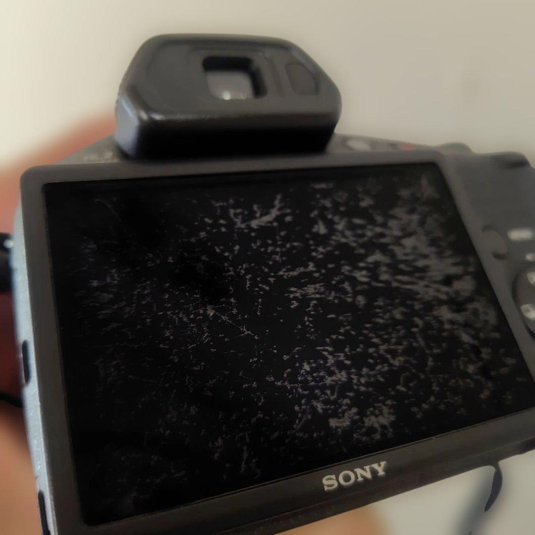 gutty【カメラ】Sony Cyber-shot DSC-HX100V