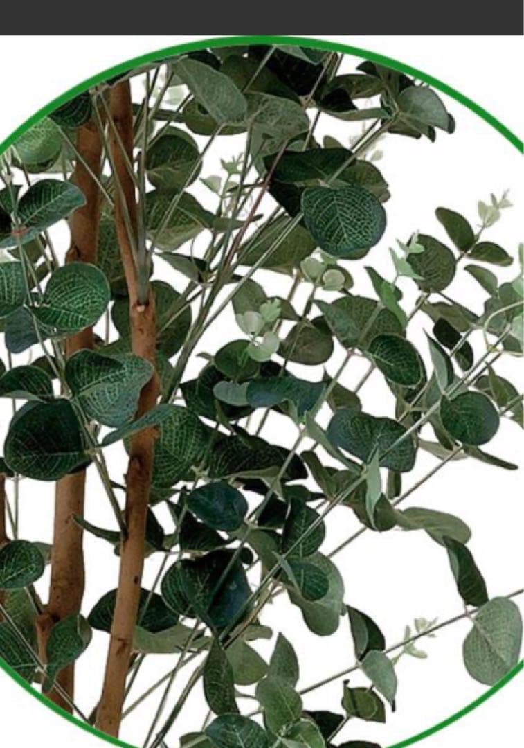光触媒　人工観葉植物　ウォールグリーン　フェイクグリーン　ユーカリ1.6m