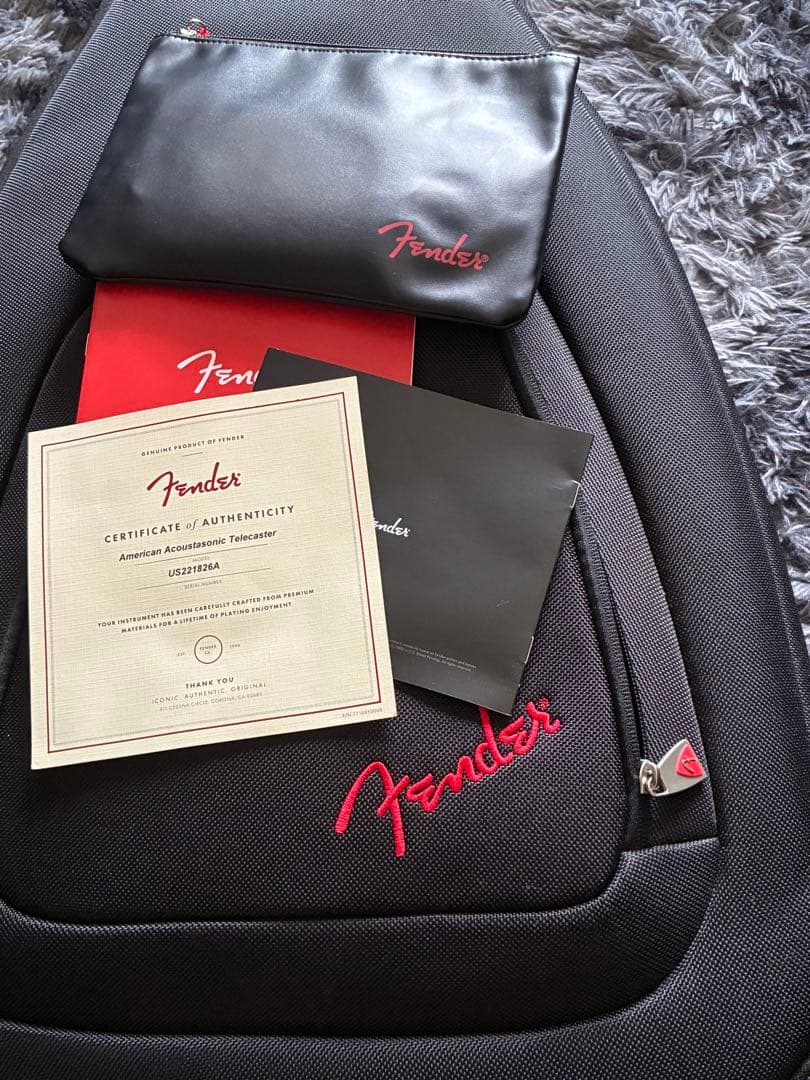 ギター Fender USA Acoustasonic Pink Paisley