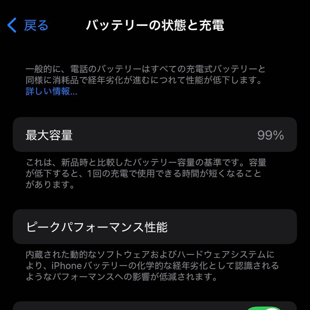 iPhone13Pro 最大容量99%