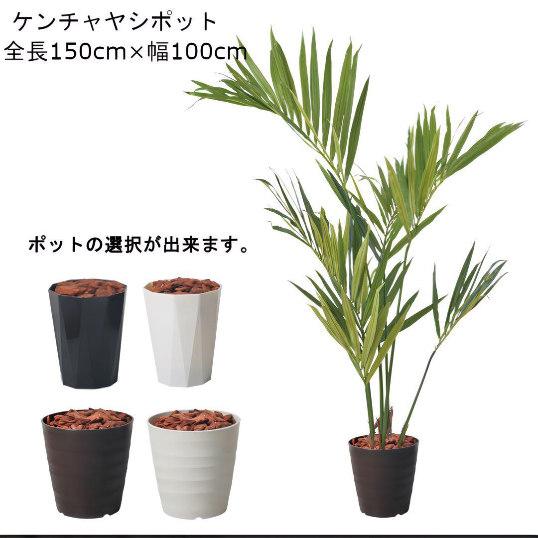 光触媒　人工観葉植物　ウォールグリーン　フェイクグリーン　ケンチャヤシポット15
