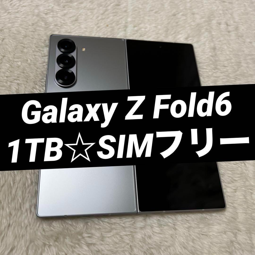 Galaxy Z Fold6 1TB シルバーシャドウ h37